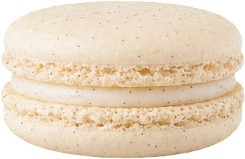 Vanilla Bean